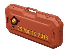 eSports 2013 Case